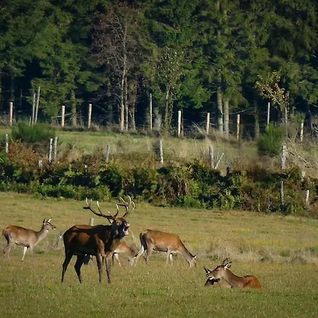 Дом отдыха Au Vieux *