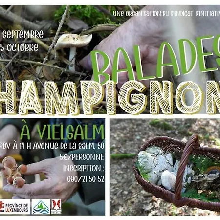 Дом отдыха Au Vieux Гуви